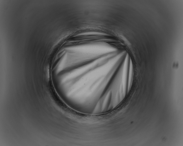 X0000090970020200708241326