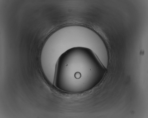 X0000090970021200708241326