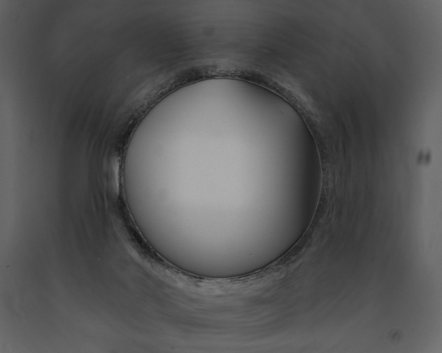 X0000090970022200708241326