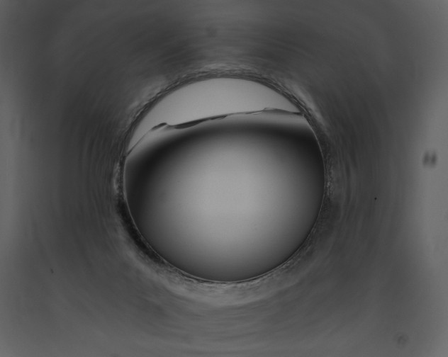 X0000090970023200708241326