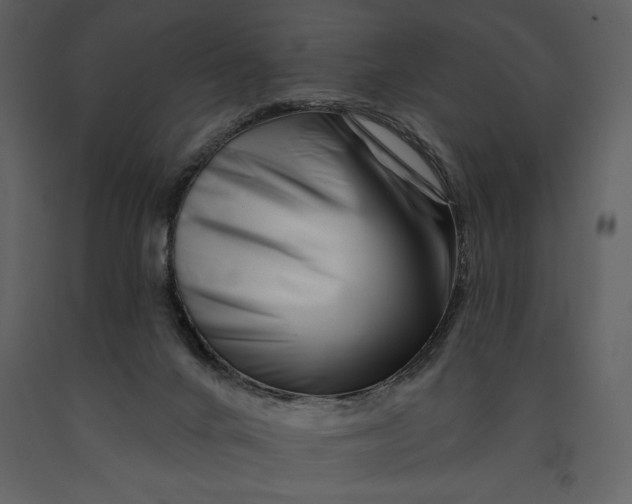 X0000090970024200708241326