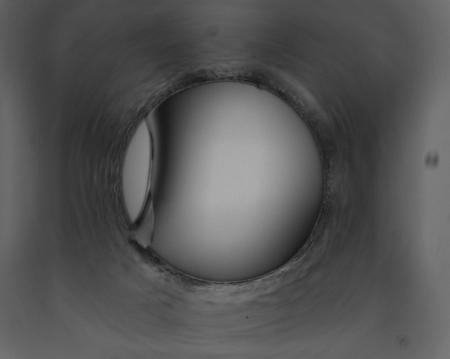 X0000090970025200708241326