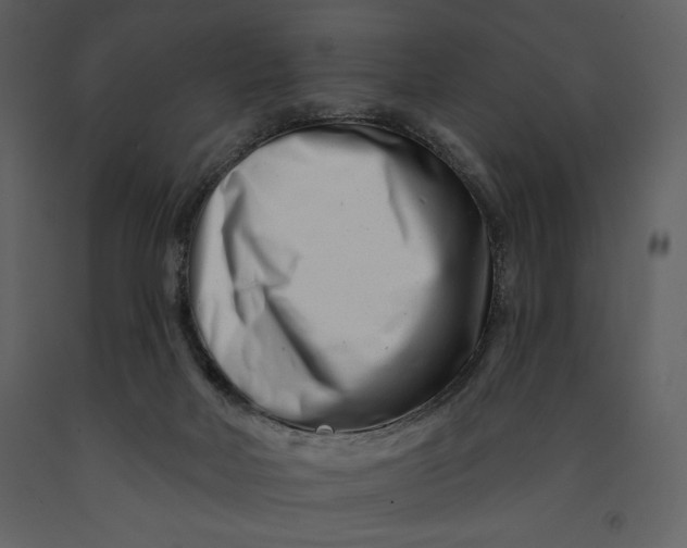 X0000090970026200708241326