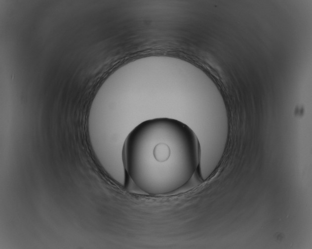 X0000090970029200708241326