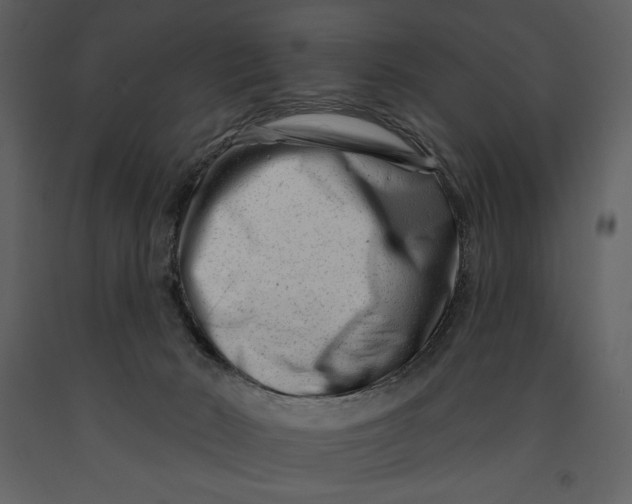 X0000090970030200708241326