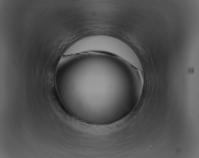 X0000090970031200708241326