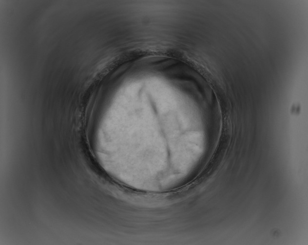 X0000090970032200708241326