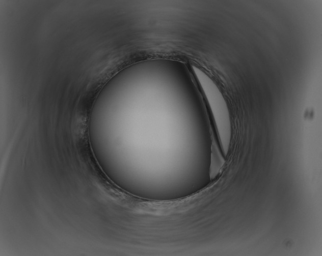 X0000090970033200708241326