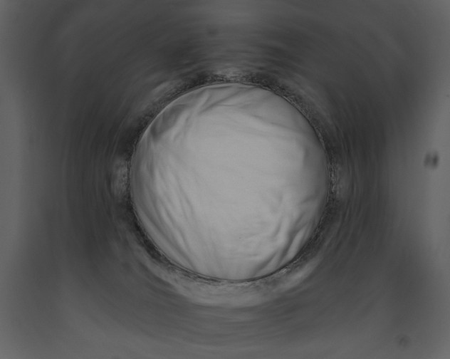 X0000090970036200708241325