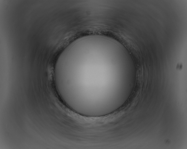 X0000090970038200708241325