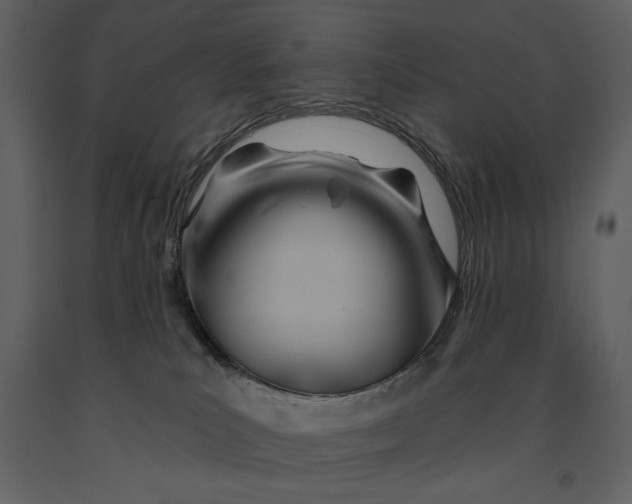 X0000090970039200708241325