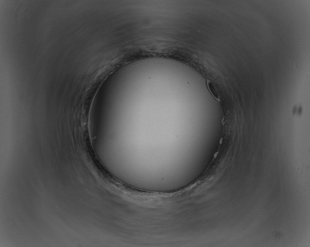 X0000090970040200708241325