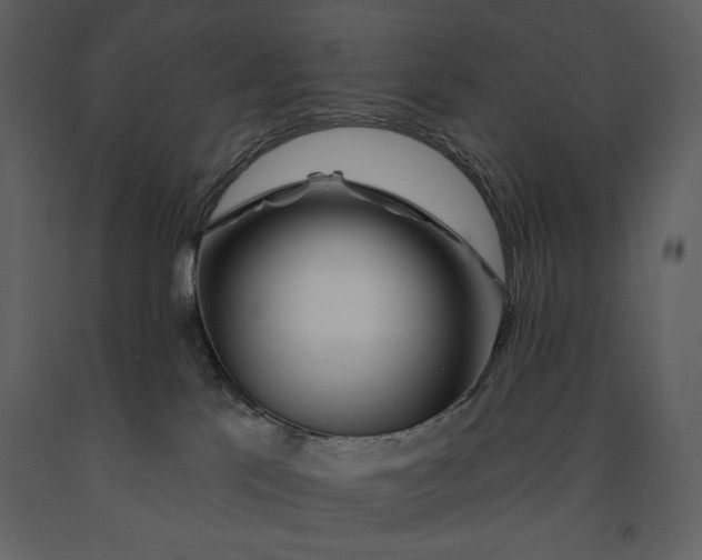 X0000090970041200708241325