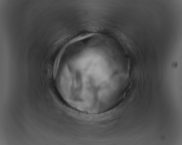 X0000090970043200708241325