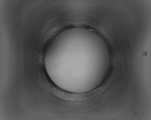 X0000090970044200708241325