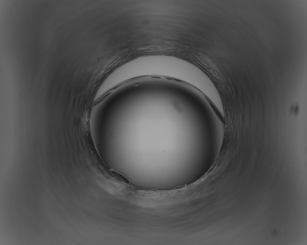 X0000090970045200708241325