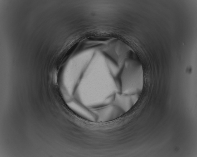 X0000090970046200708241325