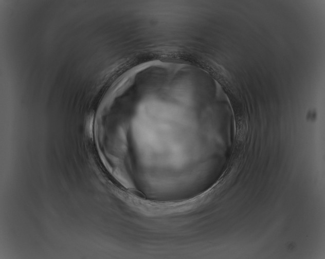 X0000090970047200708241325