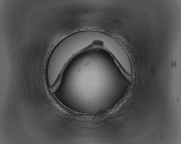 X0000090970049200708241324