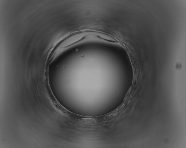 X0000090970050200708241325