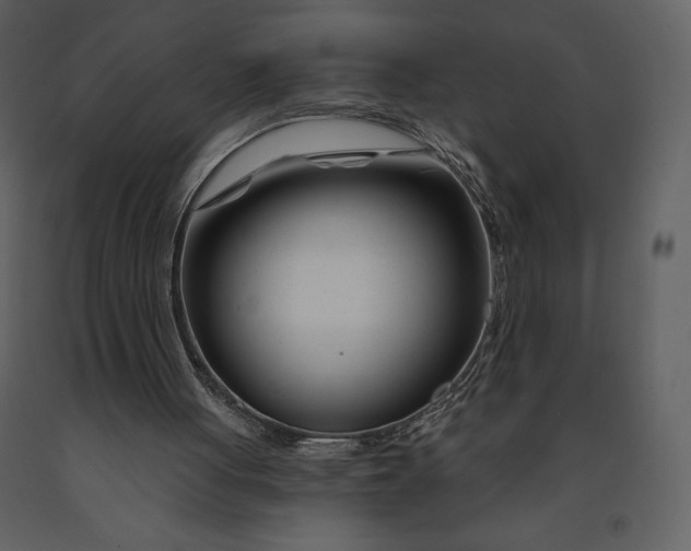 X0000090970051200708241325