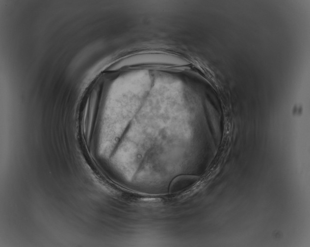 X0000090970053200708241325