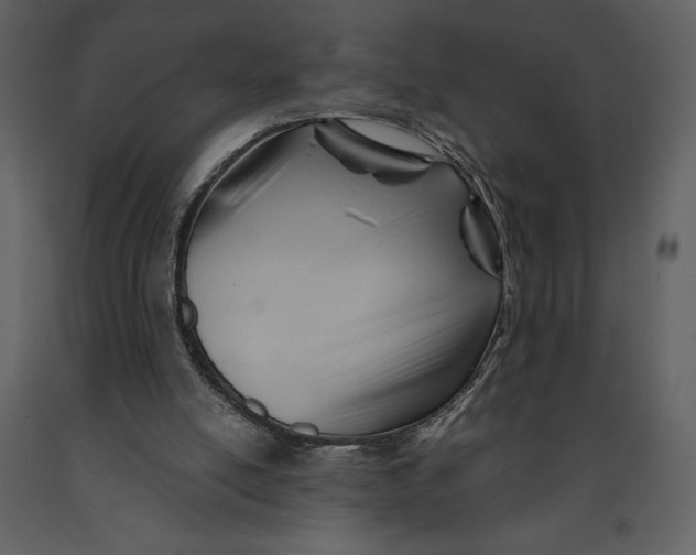 X0000090970054200708241325