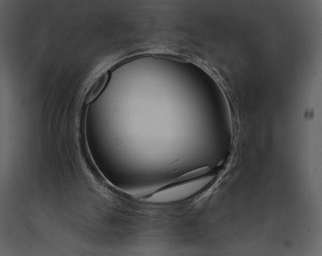 X0000090970055200708241325