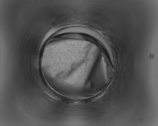 X0000090970056200708241325