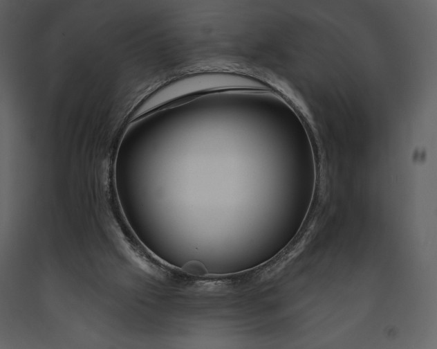 X0000090970057200708241325