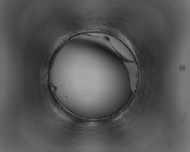 X0000090970059200708241325