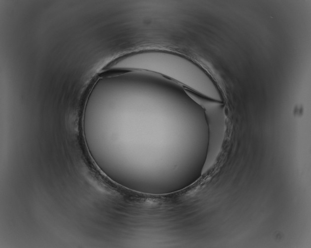 X0000090970060200708241325