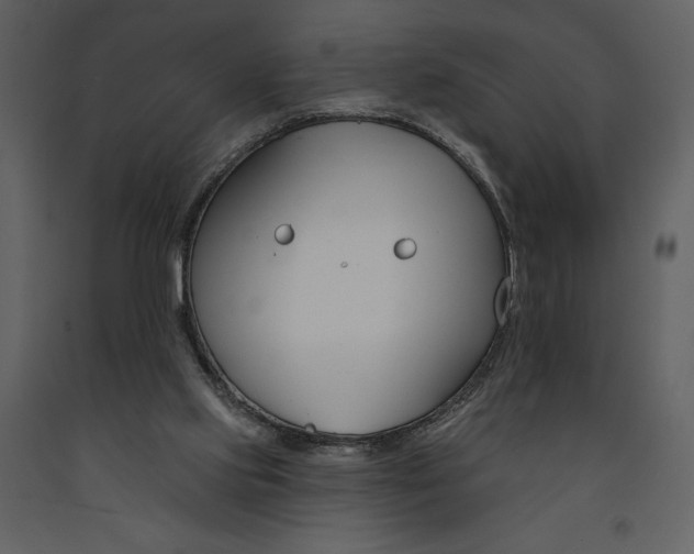 X0000090970061200708241325