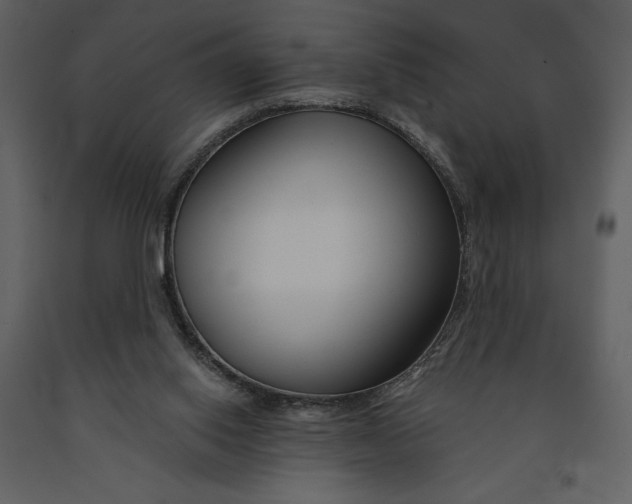 X0000090970062200708241325