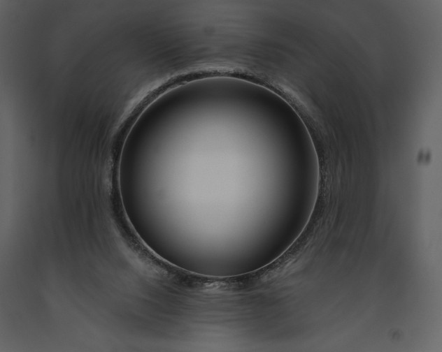 X0000090970064200708241325