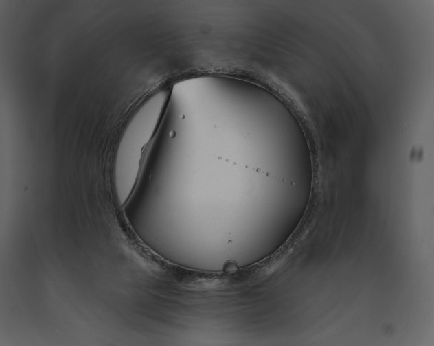 X0000090970065200708241325