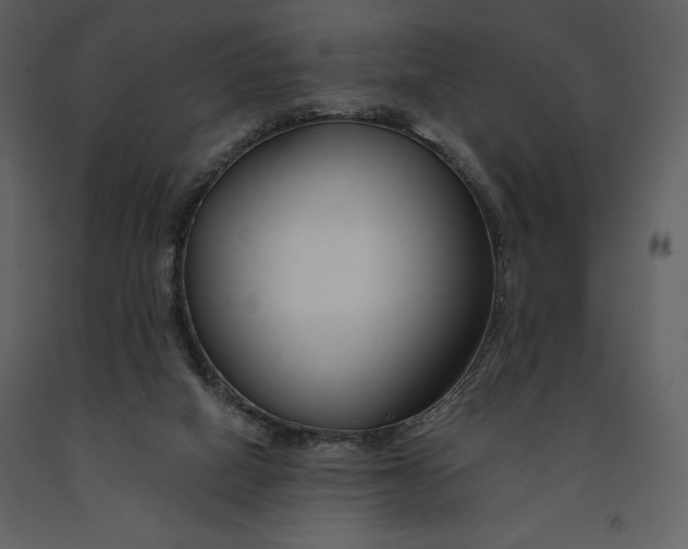 X0000090970066200708241325