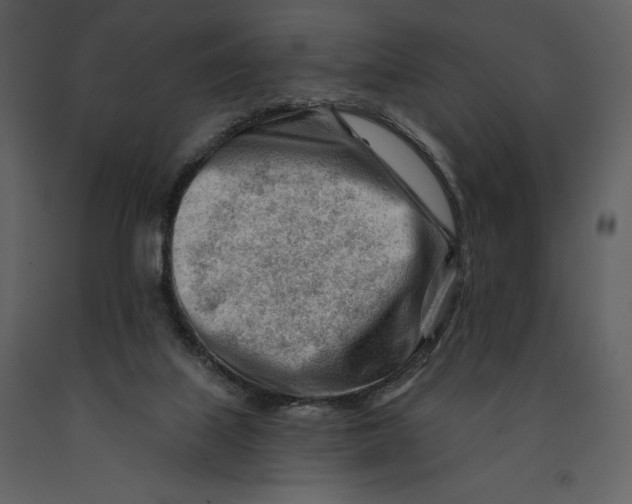 X0000090970067200708241325