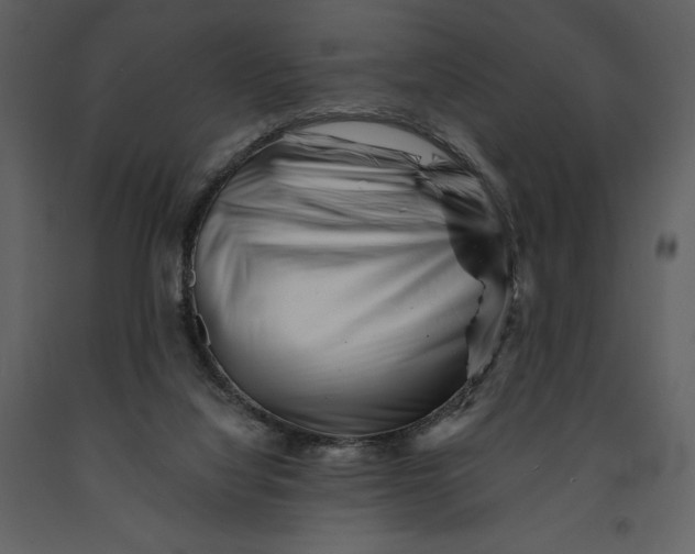 X0000090970068200708241325