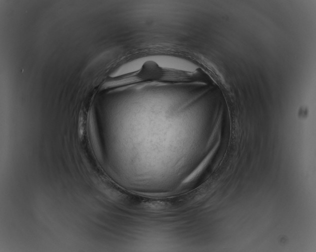 X0000090970069200708241325