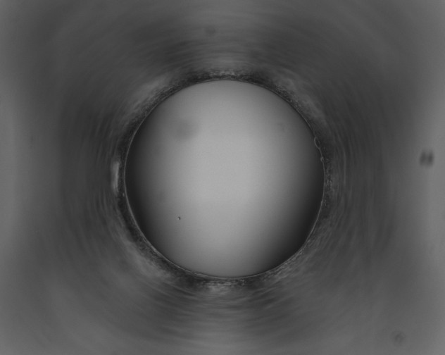 X0000090970070200708241325