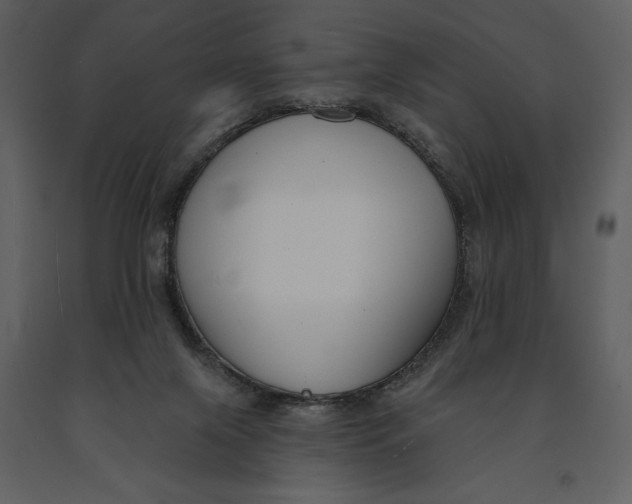 X0000090970071200708241325