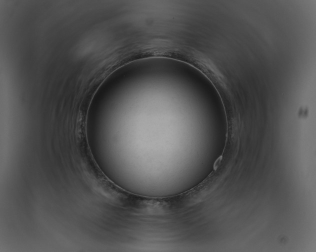 X0000090970073200708241325