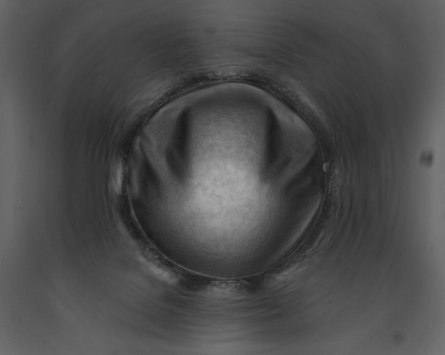 X0000090970076200708241325