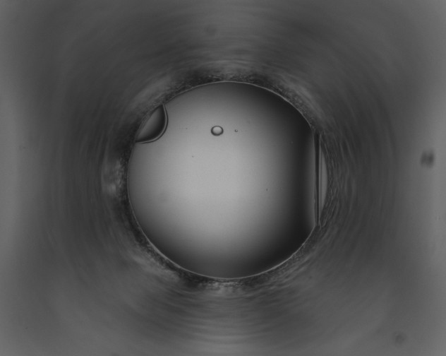 X0000090970077200708241325