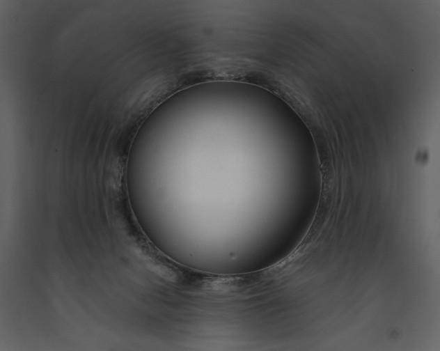 X0000090970078200708241325