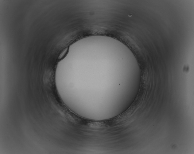 X0000090970079200708241325