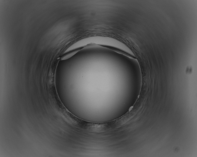 X0000090970081200708241325