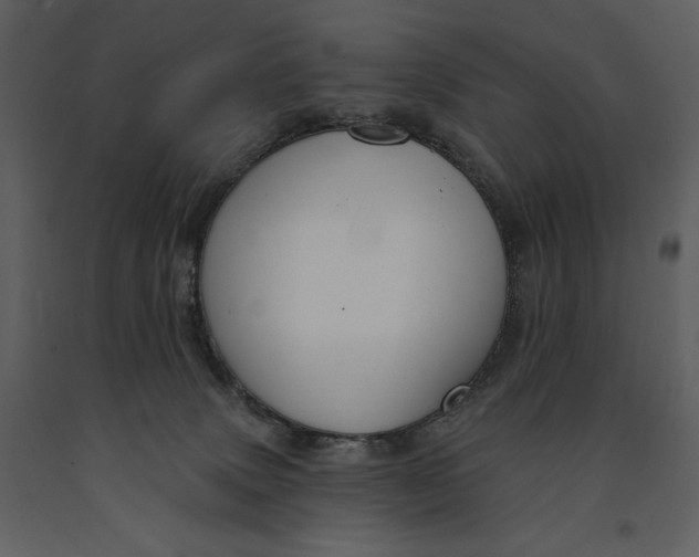 X0000090970083200708241325