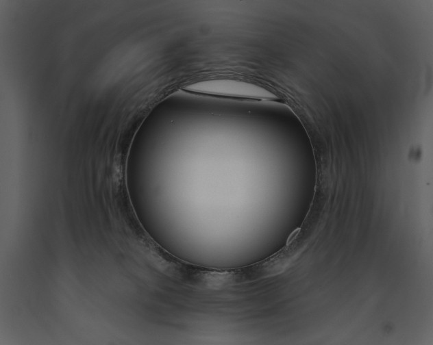 X0000090970085200708241325